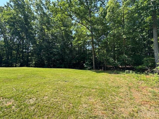 7447 Red House Rd, Appomattox, VA 24522 - photo 5