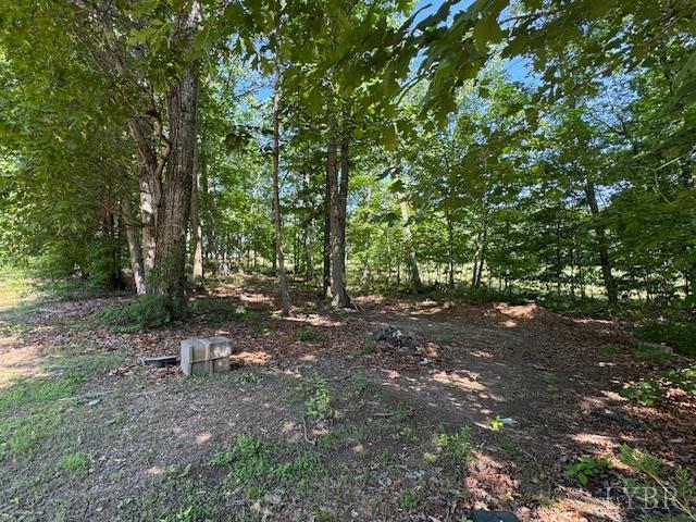 7447 Red House Rd, Appomattox, VA 24522 - photo 3