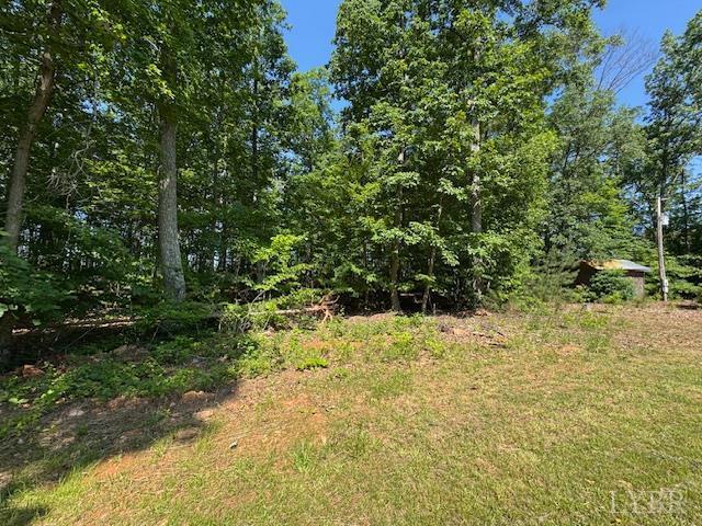 7447 Red House Rd, Appomattox, VA 24522 - view of undeveloped land