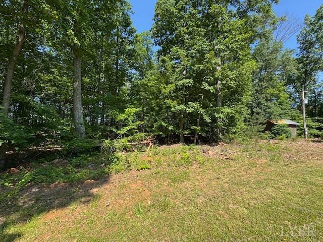7447 Red House Rd, Appomattox, VA 24522 - photo 6