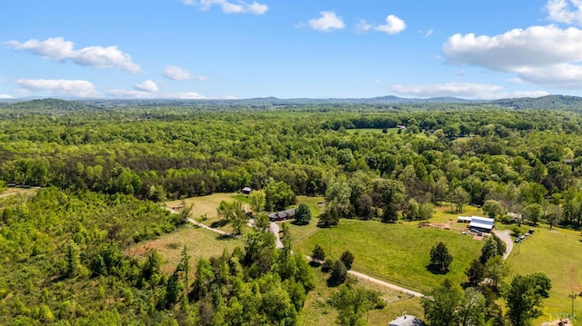 1129 Croft Ln, Bedford, VA 24523 - drone / aerial view of a forest