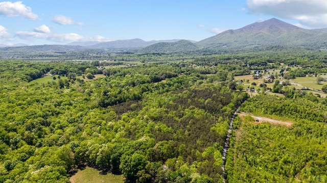 1129 Croft Ln, Bedford, VA 24523 - view of mountain background with a forest