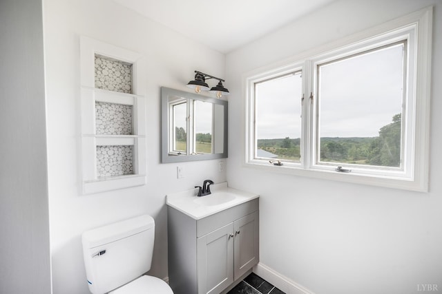 7845 Bear Creek Rd, Gladys, VA 24554 - bathroom featuring vanity and toilet