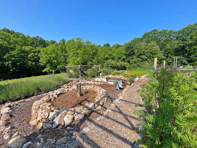 1494 Buffalo Mill Rd, Evington, VA 24550 - photo 68