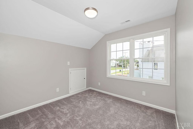 419 Wadsworth St, Lynchburg, VA 24501 - additional living space with carpet, healthy amount of natural light, and lofted ceiling