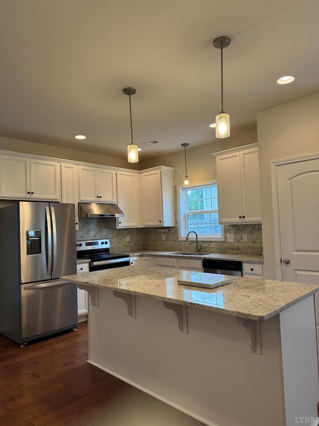 1049 Old Trail Rd, Forest, VA 24551 - kitchen featuring appliances with stainless steel finishes, under cabinet range hood, a sink, white cabinetry, and decorative backsplash
