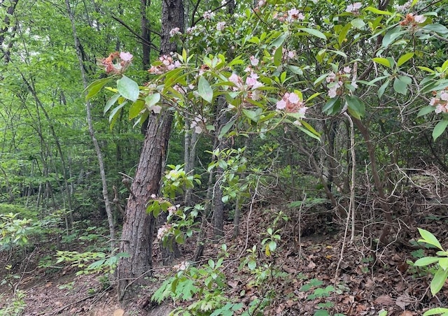 0 Christian Mill Creek Rd, Amherst, VA 24521