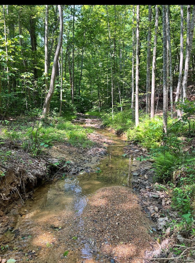 0 Christian Mill Creek Rd, Amherst, VA 24521