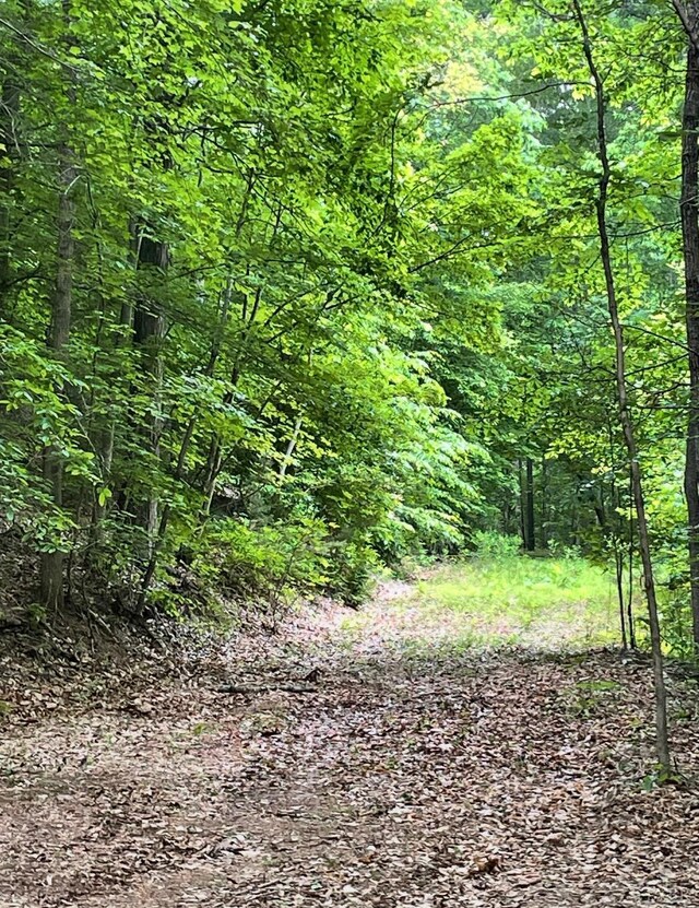 0 Christian Mill Creek Rd, Amherst, VA 24521
