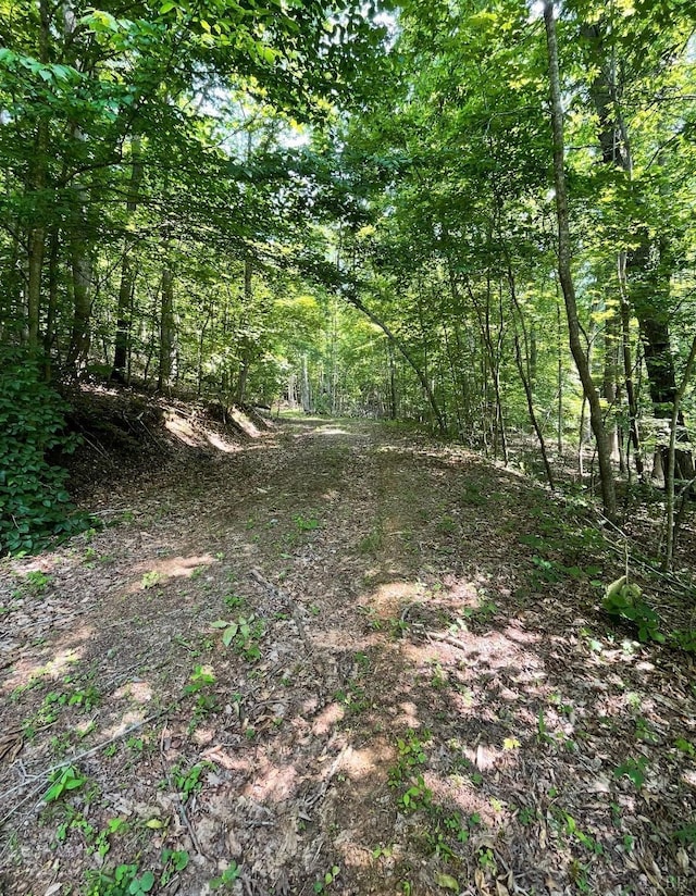 0 Christian Mill Creek Rd, Amherst, VA 24521
