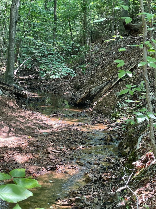 0 Christian Mill Creek Rd, Amherst, VA 24521