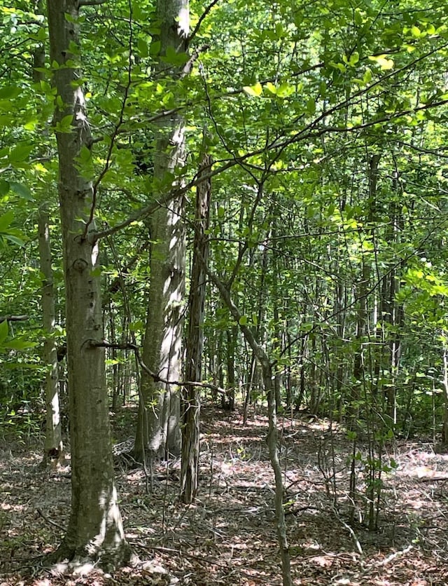 0 Christian Mill Creek Rd, Amherst, VA 24521