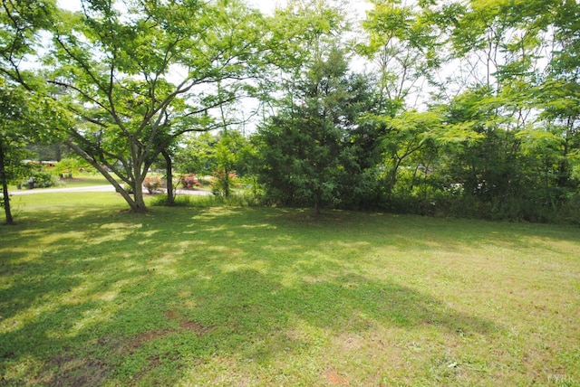1114 Golden Leaf Rd, Nathalie, VA 24577 - view of green lawn