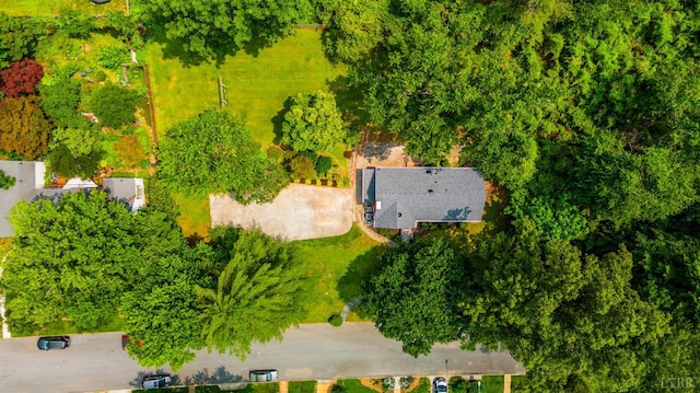 224 Kensington Ave, Lynchburg, VA 24503 - photo 47