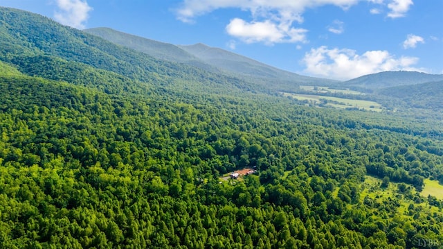 1807 Wheats Valley Rd, Bedford, VA 24532 - mountain view featuring a heavily wooded area