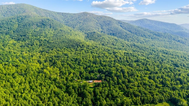 1807 Wheats Valley Rd, Bedford, VA 24532 - view of mountain backdrop with a heavily wooded area