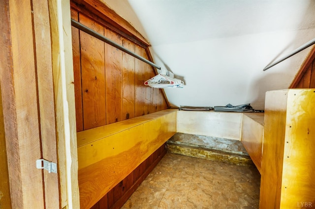 1807 Wheats Valley Rd, Bedford, VA 24532 - walk in closet featuring vaulted ceiling