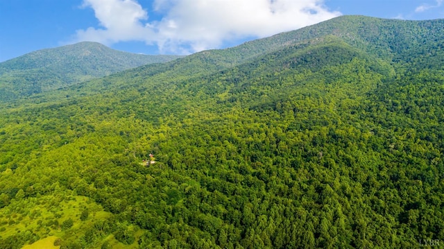 1807 Wheats Valley Rd, Bedford, VA 24532 - view of mountain background featuring a forest