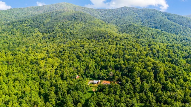 1807 Wheats Valley Rd, Bedford, VA 24532 - mountain view with a heavily wooded area