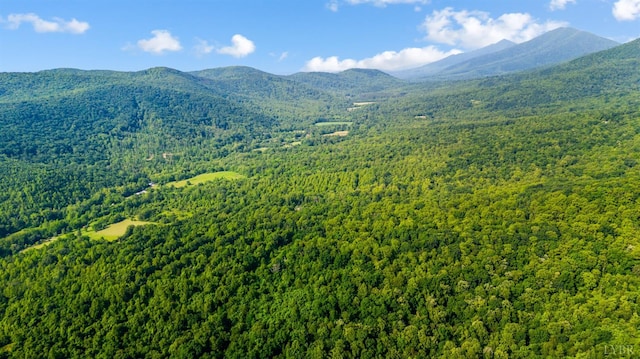 1807 Wheats Valley Rd, Bedford, VA 24532 - view of mountain background featuring a heavily wooded area