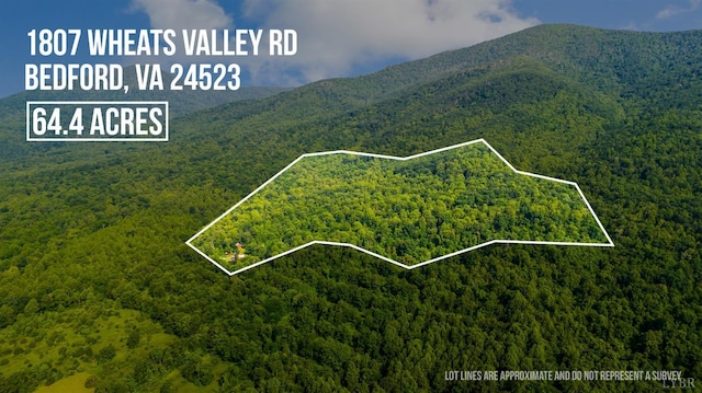 1807 Wheats Valley Rd, Bedford, VA 24532 - aerial overview of property's location featuring a forest, a mountainous background, and property parcel outlined