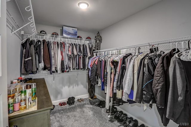 1013 Cobblestone Ln, Forest, VA 24551 - walk in closet with carpet