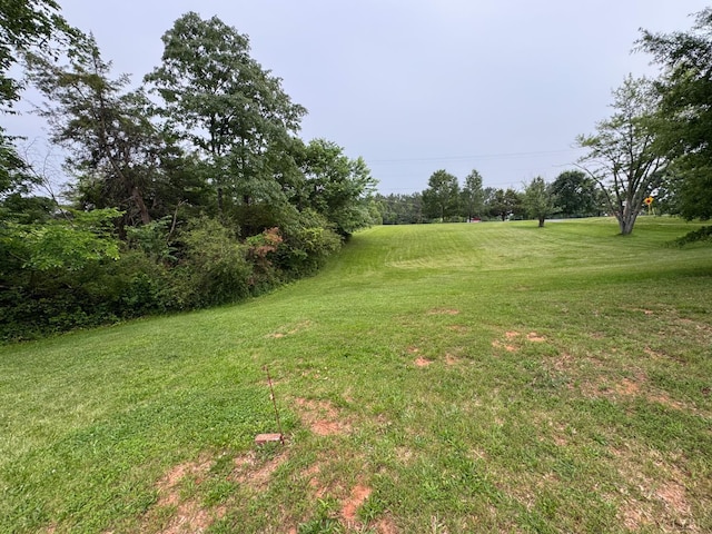 100 New Chapel Rd, Rustburg, VA 24588 - view of green lawn