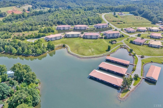1066 Siesta Key Ct, Moneta, VA 24121 - view of property location featuring a forest and a nearby body of water