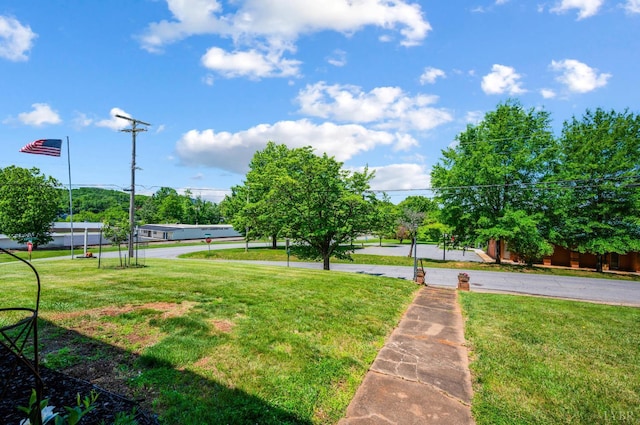602 Mountain Ave, Bedford, VA 24523 - photo 56