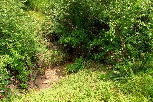 1032 Wiggington Rd, Lynchburg, VA 24502 - view of undeveloped land