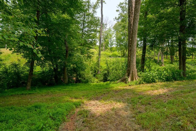 1032 Wiggington Rd, Lynchburg, VA 24502 - view of undeveloped land