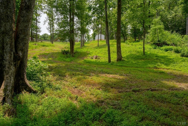 1032 Wiggington Rd, Lynchburg, VA 24502 - view of local wilderness