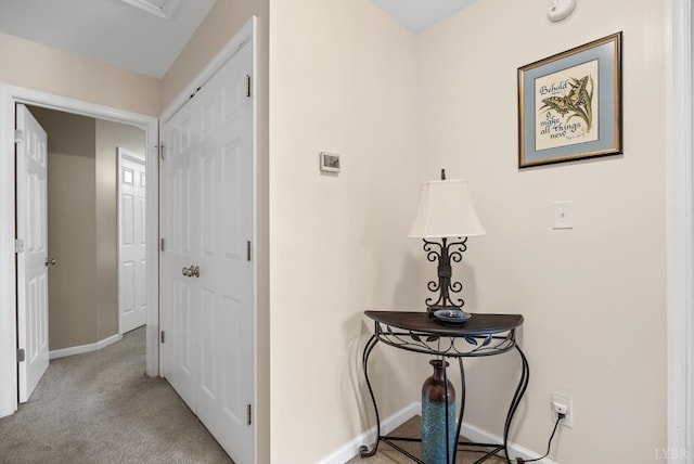 1810 Broadway St Unit 100, Lynchburg, VA 24501 - hallway with carpet flooring and baseboards