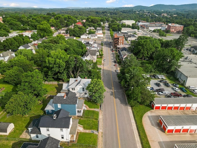 1004 Buchanan, Lynchburg, VA 24501 - bird's eye view of a forest