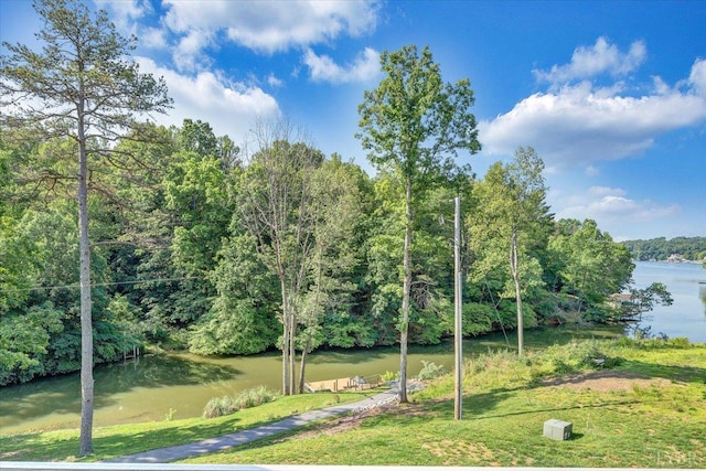 1620 Stripers Cove Rd, Goodview, VA 24095 - surrounding community featuring a water view, a yard, and a view of trees