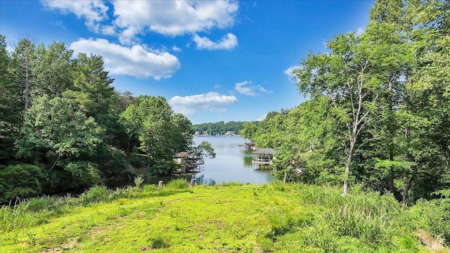 1620 Stripers Cove Rd, Goodview, VA 24095 - water view featuring a heavily wooded area and a dock