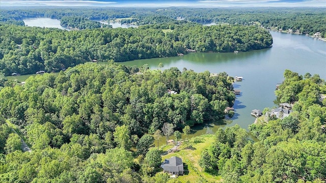 1620 Stripers Cove Rd, Goodview, VA 24095 - aerial view of property and surrounding area featuring a forest and a large body of water