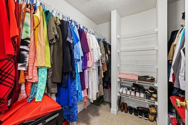 4710 Hummingbird Ln, Concord, VA 24538 - view of spacious closet