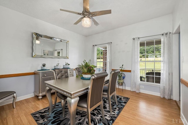 4710 Hummingbird Ln, Concord, VA 24538 - dining room with light wood-type flooring, a ceiling fan, plenty of natural light, and baseboards