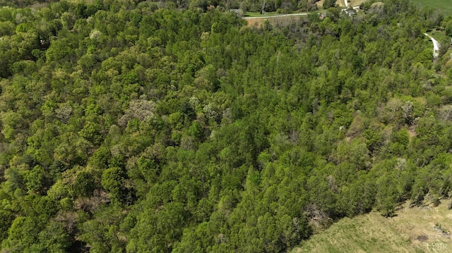 0 Gidsville A Rd, Amherst, VA 24521