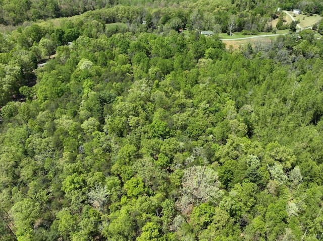 0 Gidsville A Rd, Amherst, VA 24521 - photo 11