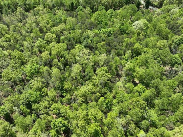 0 Gidsville A Rd, Amherst, VA 24521 - photo 9