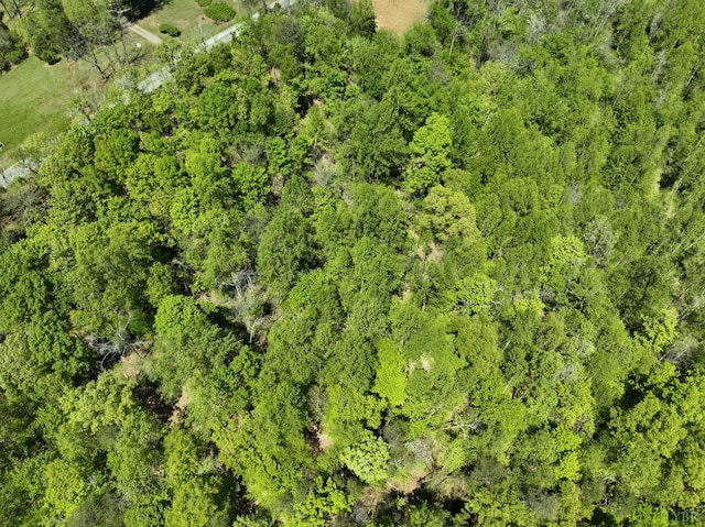 0 Gidsville A Rd, Amherst, VA 24521
