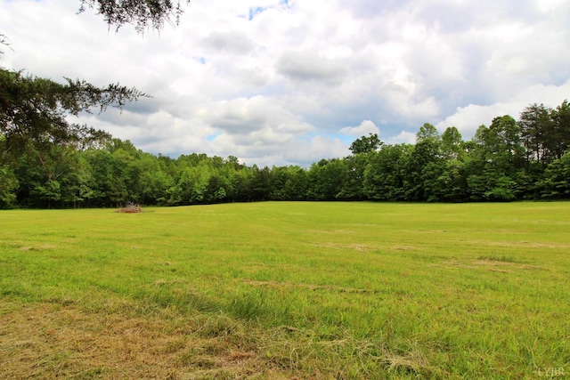 10008 Thomas Jefferson Hwy, Charlotte Court House, VA 23923 - photo 13