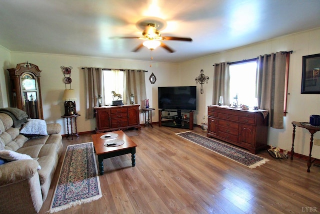 10008 Thomas Jefferson Hwy, Charlotte Court House, VA 23923 - photo 18