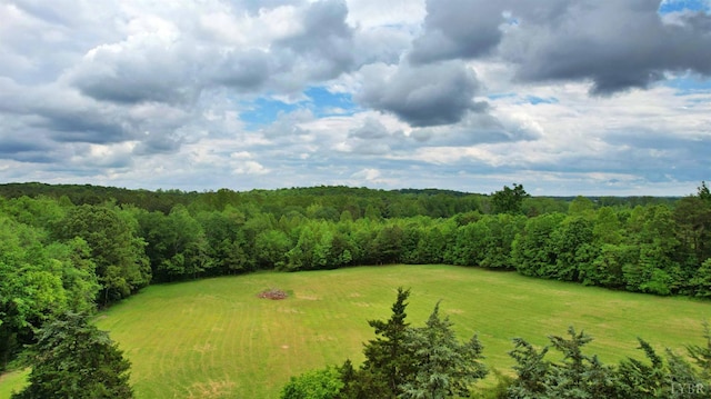 10008 Thomas Jefferson Hwy, Charlotte Court House, VA 23923 - photo 7