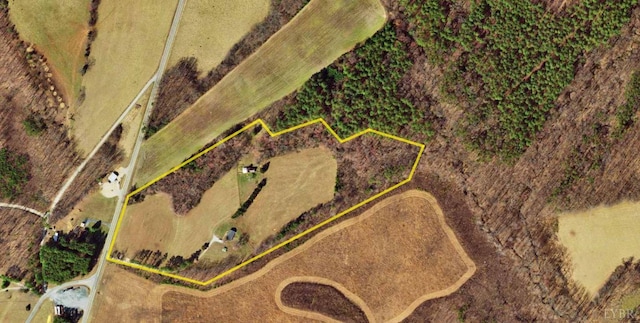 10008 Thomas Jefferson Hwy, Charlotte Court House, VA 23923 - photo 3