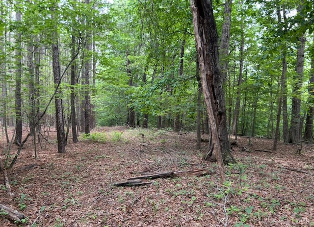 0 Rock Cliff Rd, Bedford, VA 24523 - photo 11