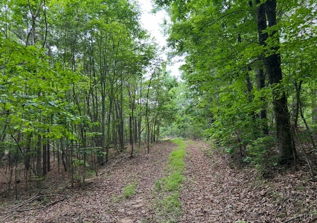 0 Rock Cliff Rd, Bedford, VA 24523 - photo 8