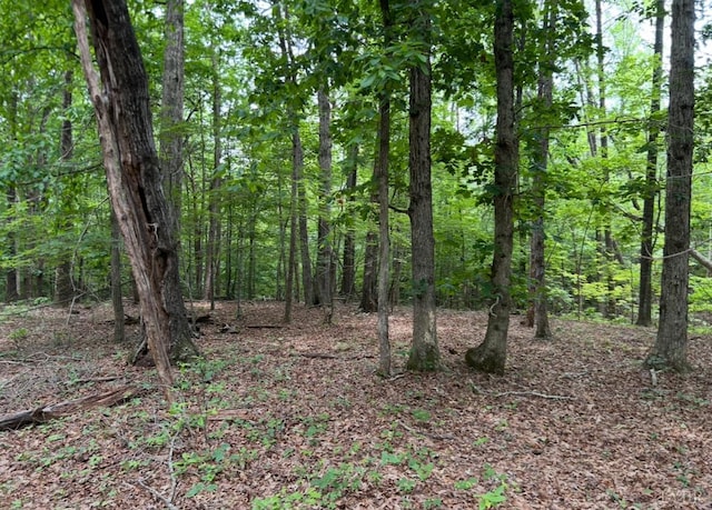 0 Rock Cliff Rd, Bedford, VA 24523 - photo 12